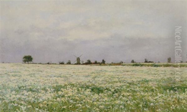 Landscape With Windmill And Wildflowers - view 1