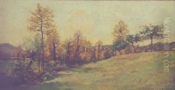 Summer Meadow - view 1