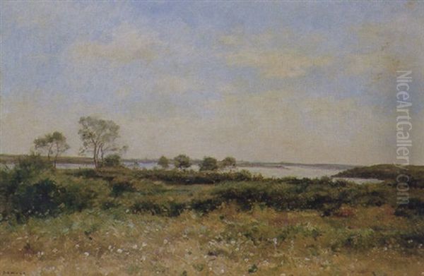 Extensive River Landscape - view 1
