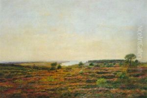 La Lande De Bruyeres Sur La Cote La Lande De Bruyeres Sur La Cote