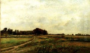 An Extensive Spring Landscape An Extensive Spring Landscape