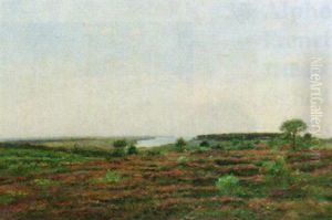 Paysage De Bruyere
