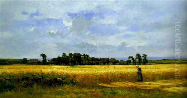 Les Bles En Bretagne - view 1