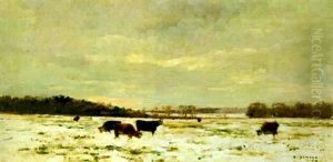 Winterliche Landschaft Mit Kuhen Winterliche Landschaft Mit Kuhen