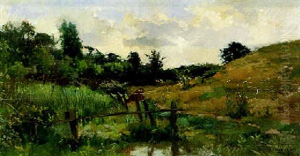 Sumpflandschaft - view 1