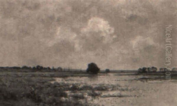 Marais A Arleux - view 1