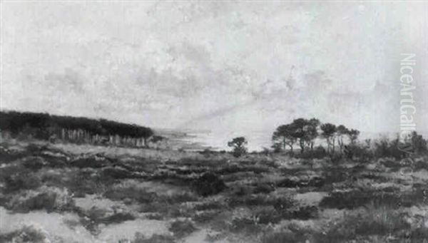 Heidelandschaft An Der Meereskuste - view 1