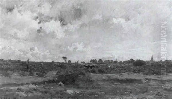 Weidelandschaft - view 1
