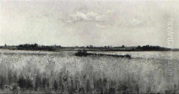 Extensive Coastal Landscape With A Cornfield - view 1