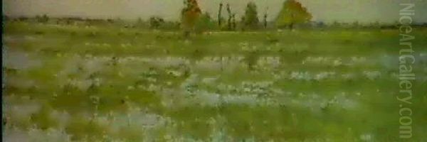 Moorlandschaft - view 1