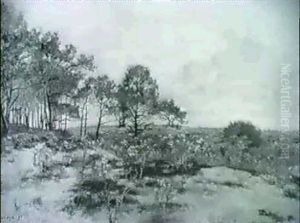 Typische Landschaft In Der Carmarque Im Vorfruhling