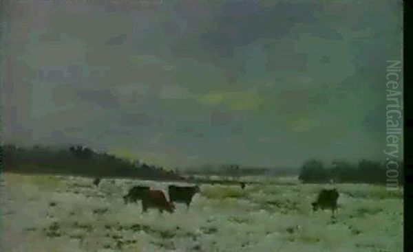 Winterweide - view 1