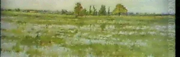 Moorlandschaft - view 1