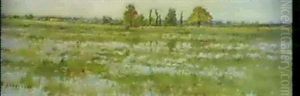 Moorlandschaft
