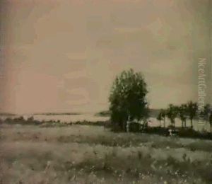 Paysage Paysage