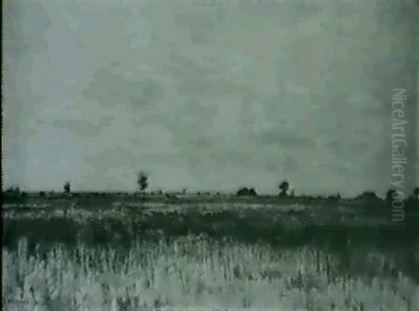 Marais En Sologne - view 1