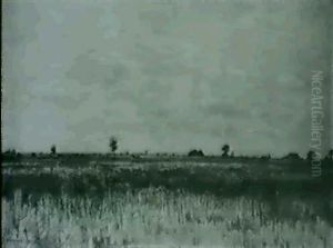 Marais En Sologne