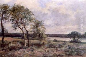 Paysage Paysage