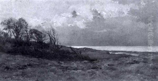 Coastal Landscape - view 1