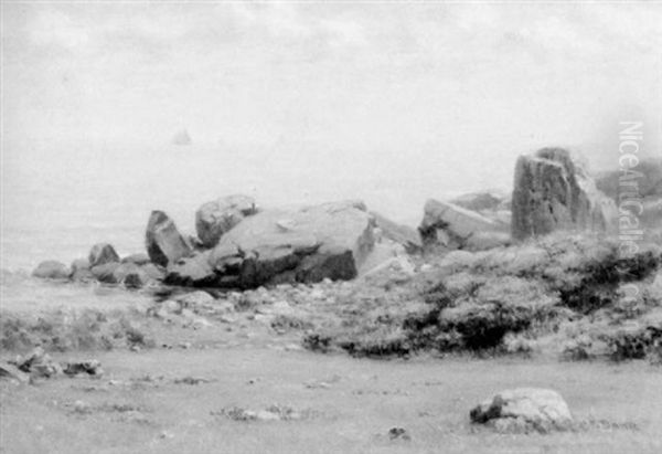 Rocky Coastline - view 1
