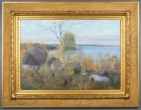 Landscape From Saaksmaki - view 1