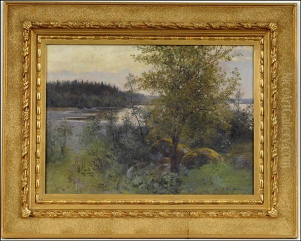 Lemstrom - Maisema Ahvenanmaalta - view 1