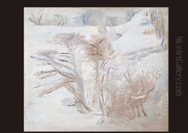 Red Castle Mountain Snow Landscape - view 1