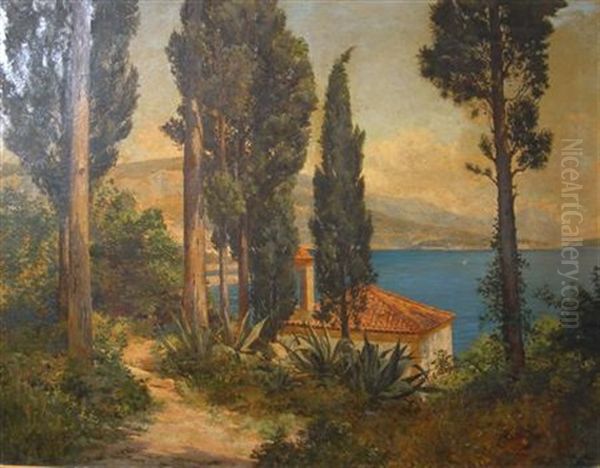 Cypress Trees Overlooking A Mediterranean Bay - view 1