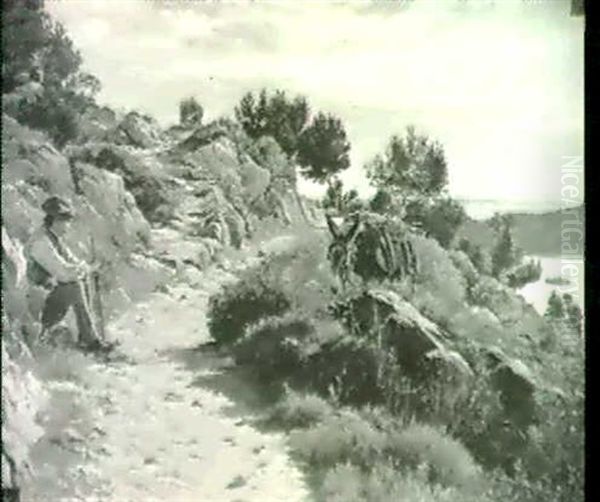 Ane Dans La Guarrigue - view 1