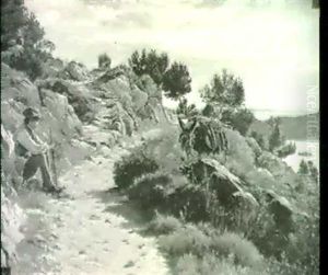 Ane Dans La Guarrigue by Georges Paul Joseph Darasse