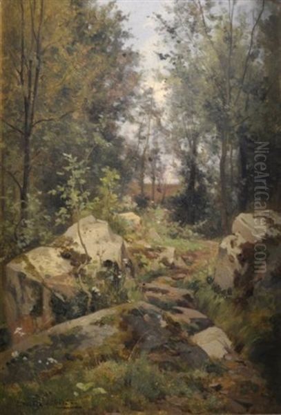 Vue D'un Sous-bois - view 1
