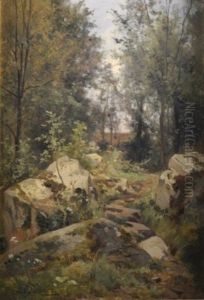 Vue D'un Sous-bois