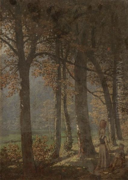 Balade En Foret - view 1