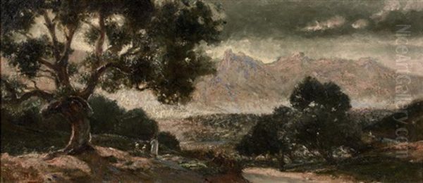 Un Matin, Environs De Michelet - Kabylie - view 1