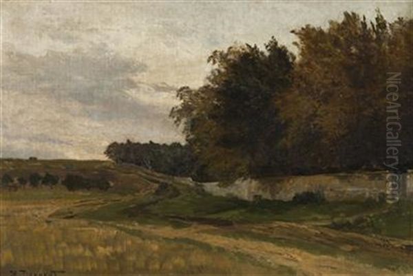 Field Behind The Game Preserve - view 1