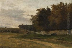 Field Behind The Game Preserve by Hugo Darnaut