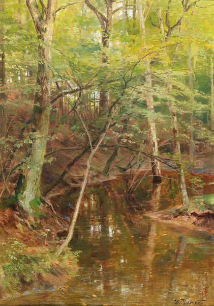 Woodland Stream - view 1