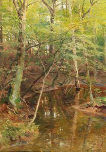 Woodland Stream Woodland Stream