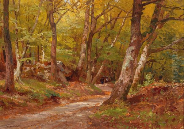 The Path In The Wood - view 1