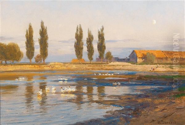 Summer Idyll - view 1