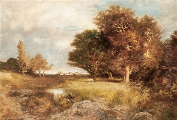 Marshy Area In The Fall - view 1