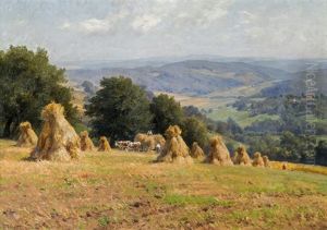 Sommer Im Wienerwaldgebiet Sommer Im Wienerwaldgebiet