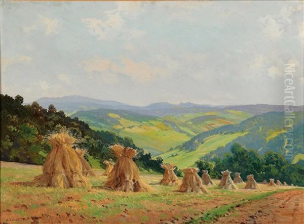 Alpine Foothills In The Waldviertl, With Hay Stacks Near Maria Taferl - view 1