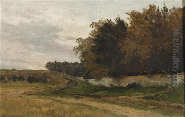 Field Behind The Forest Park - view 1
