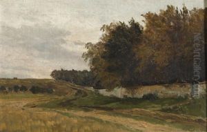 Field Behind The Forest Park