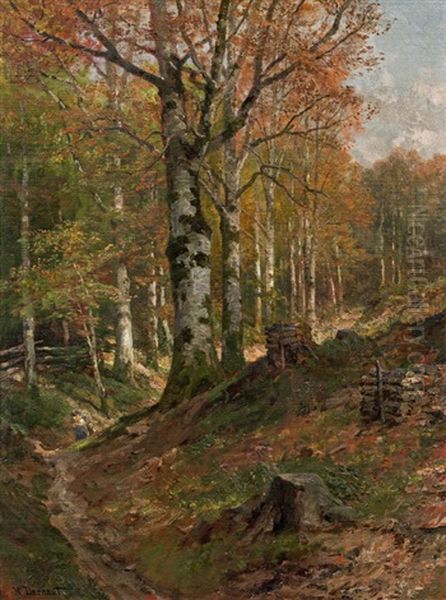 Vienna Woods In The Fall - view 1