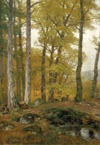 Rotwild Im Herbst Rotwild Im Herbst