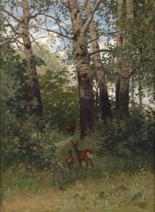 Rehwild Im Waldesinneren