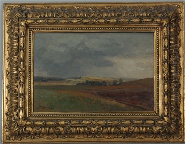 Landschaft - view 1