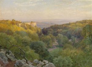 Blick Auf Die Ruine Merkenstein